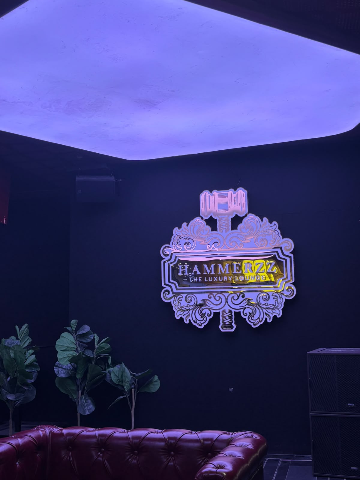 Hammerzz The luxury lounge - Indore chooses Martin audio as their sound partner.
