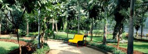 Marathon Era GYM, Mumbai Gallery 3