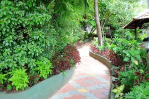 Coorg Jungle Camp Backwater Resort Karnataka Gallery 3