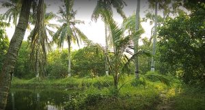 Digha Kaju Uddan Training Room Gallery 2