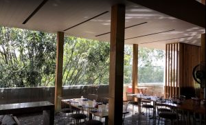 RockSalt, Bangalore Gallery 2