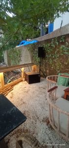 Romeo Lane, Goa Gallery 14
