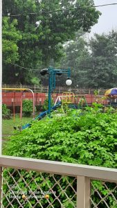 Jatni Municipality Park Gallery 4