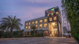 The Mystic Palms , Mathura Gallery 2