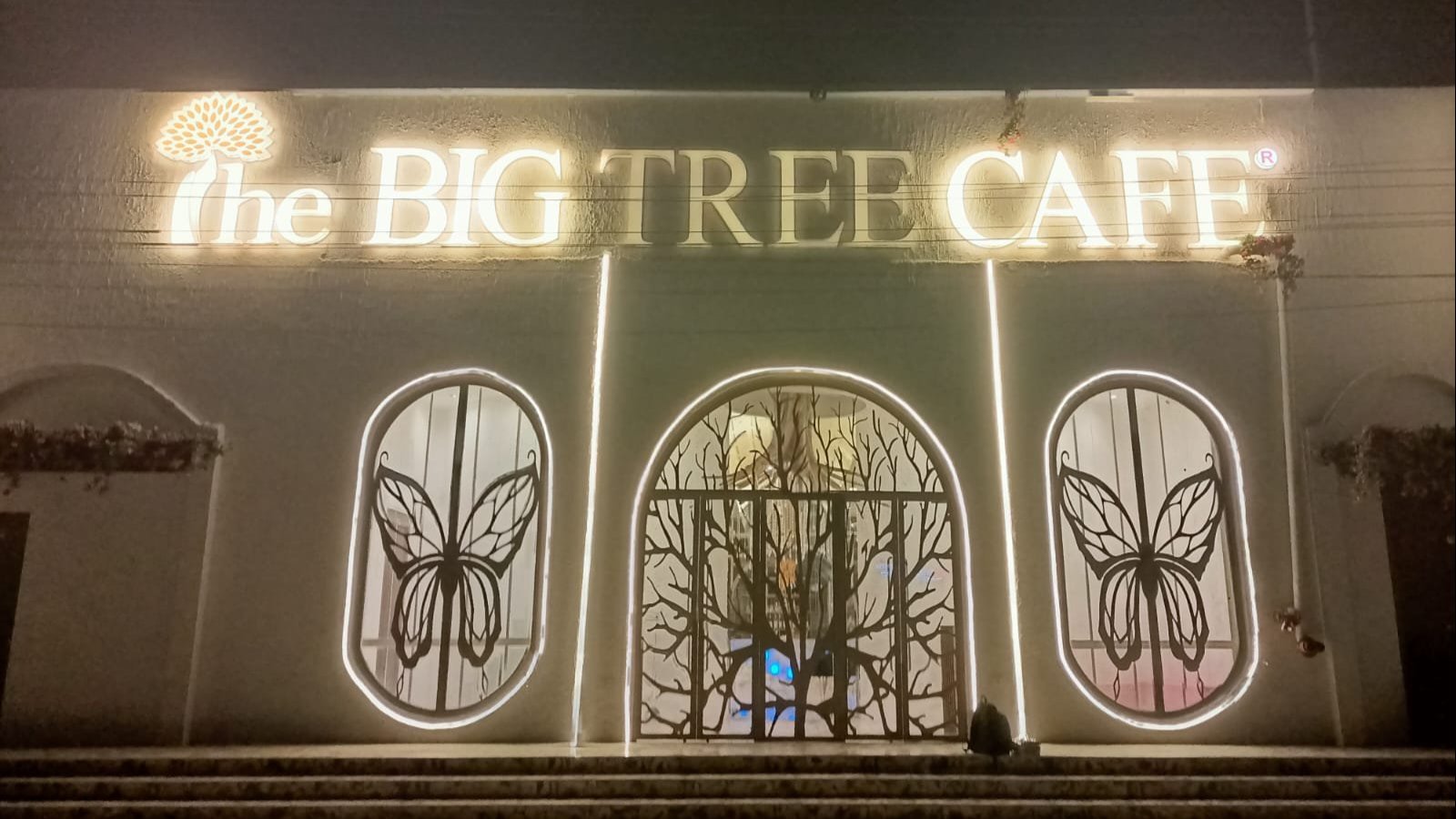 The Big Tree Cafe Gallery 2