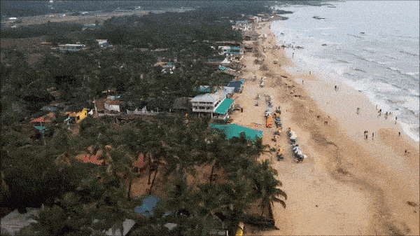 Locura, Goa